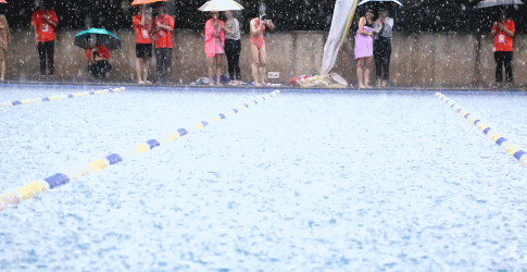 1533614565115919.gif